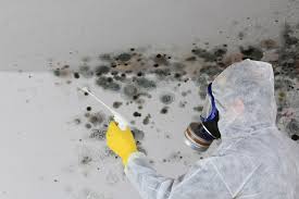 Prairie View, TX Mold Remediation Company